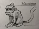 Макака